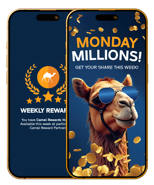 appsect-shop2shop-rewards-app-02